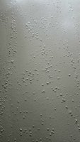 IMG_7765.JPG