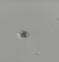 1530581574820.png 1530581574820.png