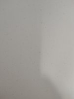 IMG_20190929_163255.jpg
