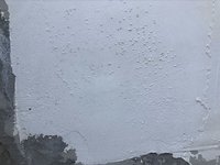41588746776_.pic.jpg