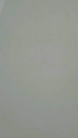 42B56DC0-997B-46D8-A963-9D981182219F.jpeg