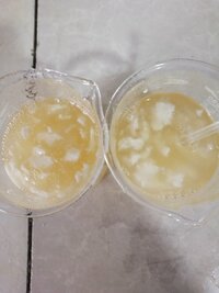 IMG_20201223_081455.jpg IMG_20201223_081455.jpg