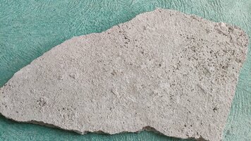 IMG_20210118_155940.jpg IMG_20210118_155940.jpg