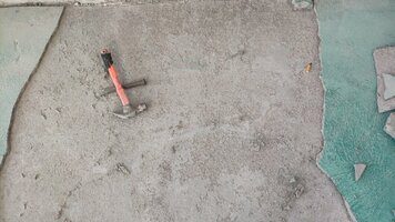 IMG_20210118_155950.jpg IMG_20210118_155950.jpg