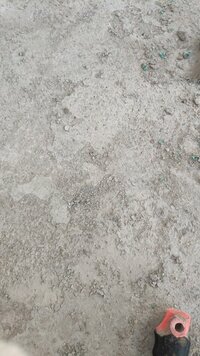 IMG_20210118_161556.jpg IMG_20210118_161556.jpg