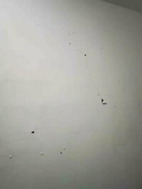 10eb9cf6de544e273cc47fe9fd93ab0.jpg