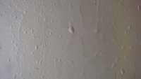 DSC01517.JPG