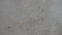 DSC03610.jpg