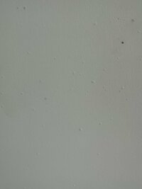 IMG_3530.jpeg