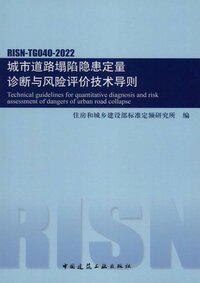 RISN-TG040-2022 城市道路塌陷隐患定量诊断与风险评价技术导则.jpeg