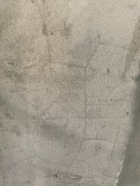 1687662571273.jpeg 1687662571273.jpeg