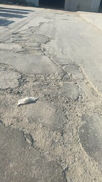 IMG_1396.jpeg