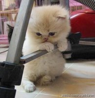 620376aajw1dgbdrh5fcrj.jpg 620376aajw1dgbdrh5fcrj.jpg