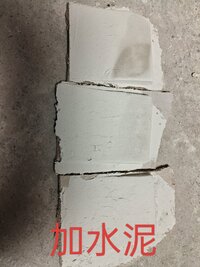 IMG_20250402_130722.jpg