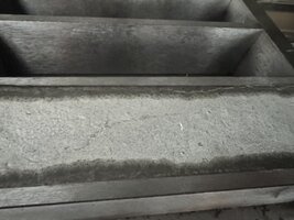 IMG_2081.jpeg