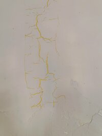 微信图片_20250420114038.jpg