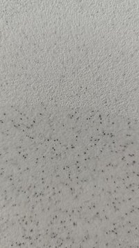 403869baf469fbdd8041a0d7d512a421.jpeg