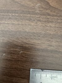 IMG_2551.jpeg