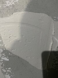 IMG_0248.jpeg
