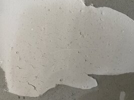 IMG_0252.jpeg