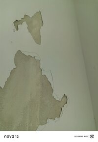 IMG_20250930_100017.jpg