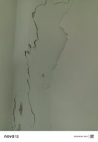 IMG_20250930_095228.jpg