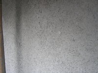 DSCN5644.JPG
