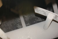 DPP_0013.JPG