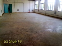 20110915407.jpg