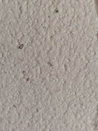 IMG_20260621_124145.jpg