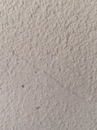 IMG_20260621_124210.jpg