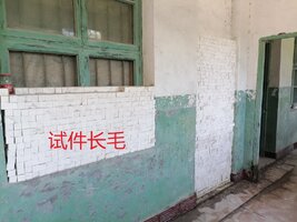 观察试件长毛.jpg