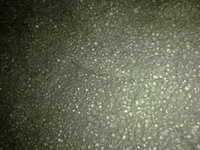 IMG-20100903054.jpg