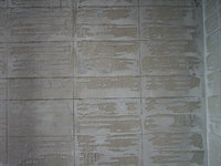 IMGP0353.JPG