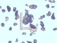 玻化微珠（4倍物镜）-4每小格10um.jpg