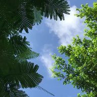 苒茂建材