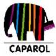 capa2009