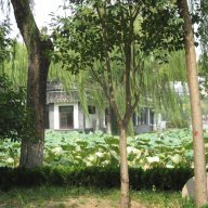 chuanye