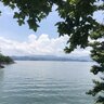 家中无花果