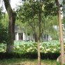 chuanye