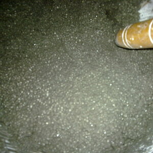 20100903053.jpg