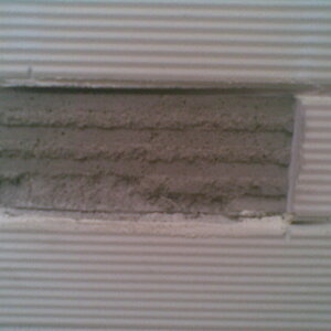 20100818(012).jpg