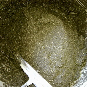 IMG-20100903050.jpg