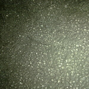 IMG-20100903054.jpg