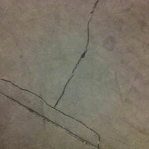 IMG-20120415-00064.jpg