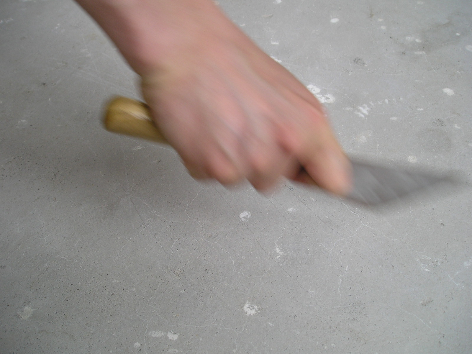 P1010036.JPG