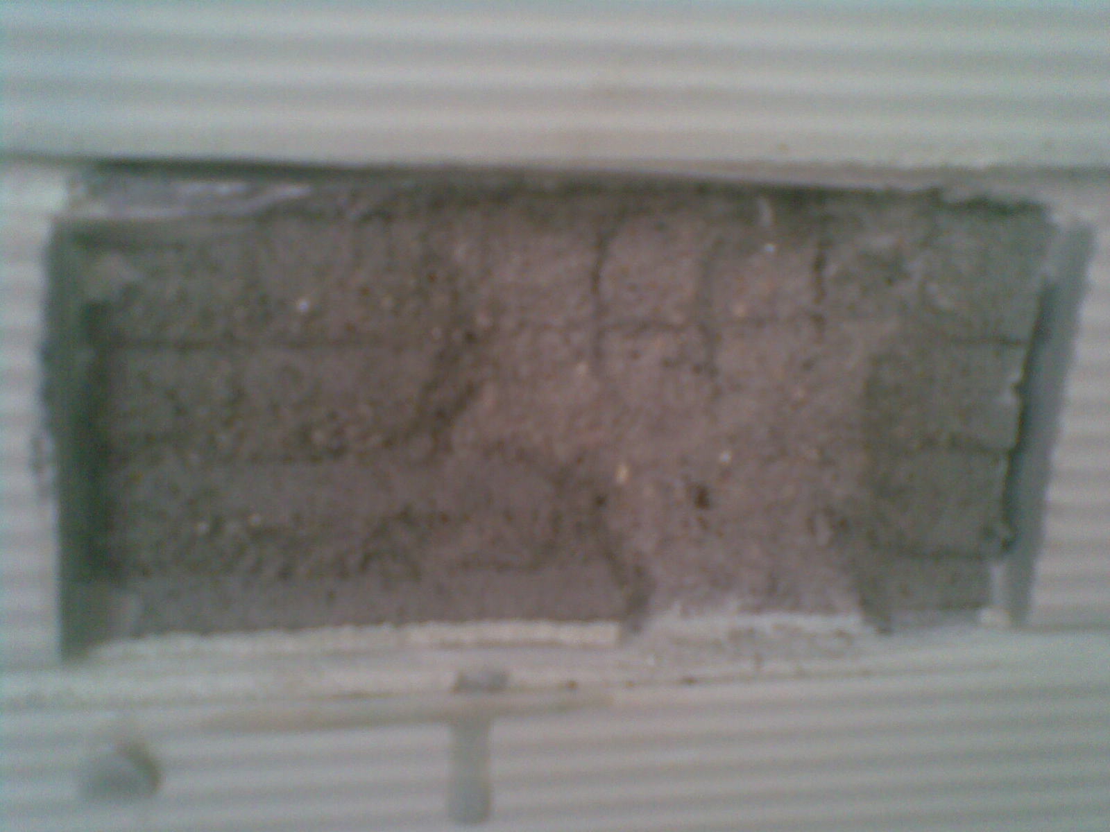 20100818(006).jpg